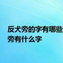 反犬旁的字有哪些 反犬旁有什么字