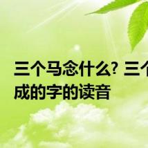 三个马念什么? 三个马组成的字的读音