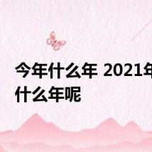 今年什么年 2021年属于什么年呢