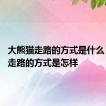 大熊猫走路的方式是什么 大熊猫走路的方式是怎样