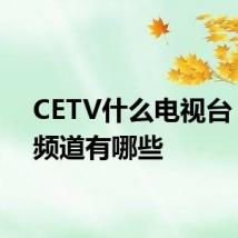 CETV什么电视台 旗下频道有哪些