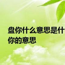 盘你什么意思是什么 盘你的意思