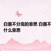 白首不分离的意思 白首不分离是什么意思