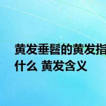 黄发垂髫的黄发指的是什么 黄发含义