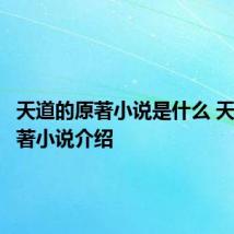 天道的原著小说是什么 天道的原著小说介绍