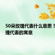 50朵玫瑰代表什么意思 50朵玫瑰代表的寓意