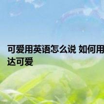 可爱用英语怎么说 如何用英语表达可爱