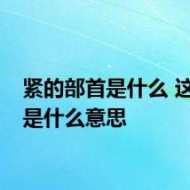 紧的部首是什么 这个字是什么意思