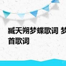 臧天朔梦蝶歌词 梦蝶整首歌词