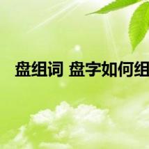 盘组词 盘字如何组词