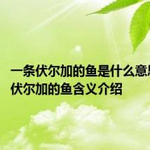 一条伏尔加的鱼是什么意思 一条伏尔加的鱼含义介绍