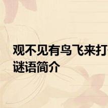 观不见有鸟飞来打一字 谜语简介