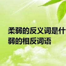 柔弱的反义词是什么 柔弱的相反词语