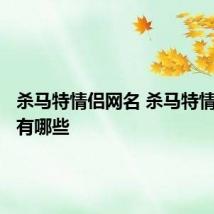 杀马特情侣网名 杀马特情侣网名有哪些