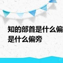 知的部首是什么偏旁 知是什么偏旁