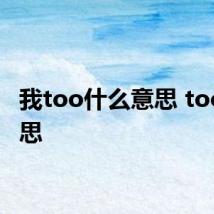 我too什么意思 too的意思