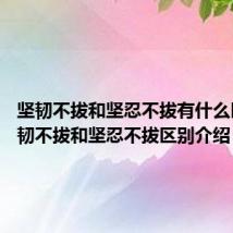 坚韧不拔和坚忍不拔有什么区别 坚韧不拔和坚忍不拔区别介绍