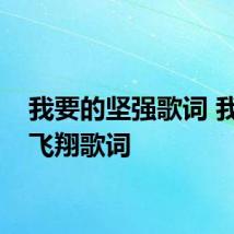 我要的坚强歌词 我要的飞翔歌词