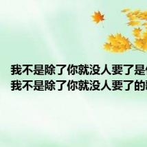 我不是除了你就没人要了是什么歌 我不是除了你就没人要了的歌名