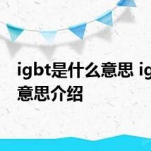 igbt是什么意思 igbt的意思介绍