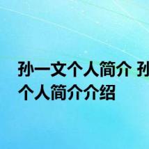 孙一文个人简介 孙一文个人简介介绍