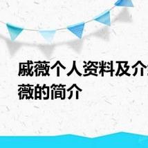 戚薇个人资料及介绍 戚薇的简介