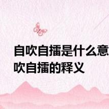 自吹自擂是什么意思 自吹自擂的释义