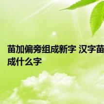 苗加偏旁组成新字 汉字苗可以组成什么字