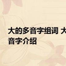 大的多音字组词 大的多音字介绍