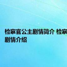 检察官公主剧情简介 检察官公主剧情介绍