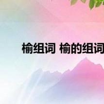 榆组词 榆的组词