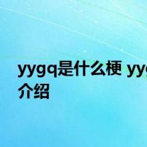 yygq是什么梗 yygq梗介绍