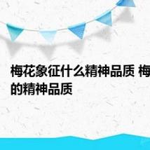 梅花象征什么精神品质 梅花象征的精神品质