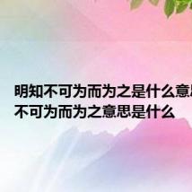 明知不可为而为之是什么意思 明知不可为而为之意思是什么