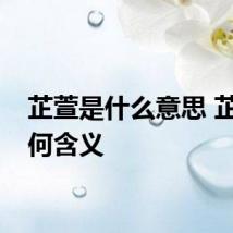 芷萱是什么意思 芷萱有何含义