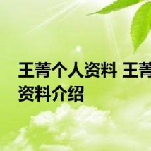 王菁个人资料 王菁个人资料介绍