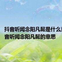 抖音听闻念阳凡懿是什么意思 抖音听闻念阳凡懿的意思