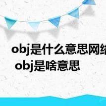 obj是什么意思网络用语 obj是啥意思