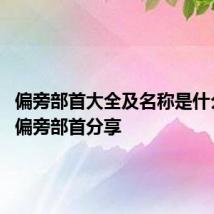 偏旁部首大全及名称是什么 常见偏旁部首分享