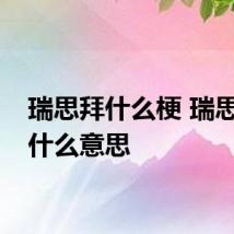 瑞思拜什么梗 瑞思拜是什么意思