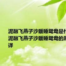 泥融飞燕子沙暖睡鸳鸯是什么意思 泥融飞燕子沙暖睡鸳鸯的原文及翻译