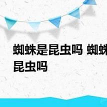 蜘蛛是昆虫吗 蜘蛛属于昆虫吗