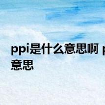 ppi是什么意思啊 ppi的意思