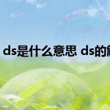 ds是什么意思 ds的解释