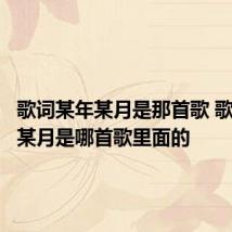 歌词某年某月是那首歌 歌词某年某月是哪首歌里面的