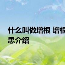 什么叫做增根 增根的意思介绍