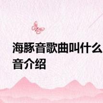 海豚音歌曲叫什么 海豚音介绍