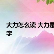 大力怎么读 大力是什么字