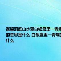 遥望洞庭山水翠白银盘里一青螺这两句诗的意思是什么 白银盘里一青螺的原文是什么