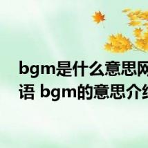 bgm是什么意思网络用语 bgm的意思介绍